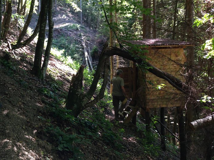 overviewbearchamois