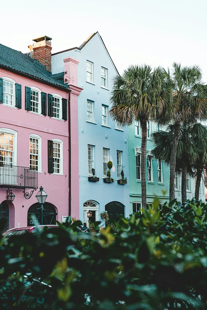 cameronstewartWBJwz44Wy_0unsplash