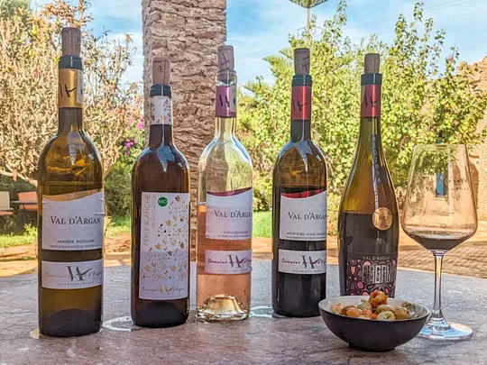 Enjoy wine tasting at one of Morocco’s most esteemed vineyards 
