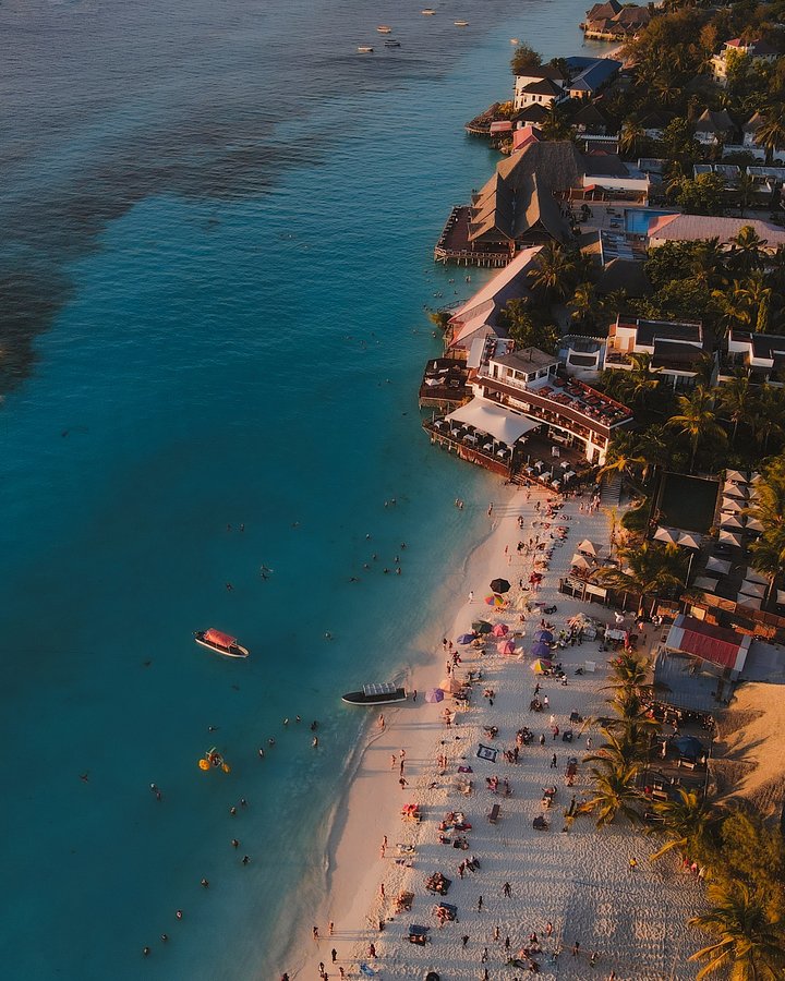 dmitrylimonovriNG9nnXUNEunsplash