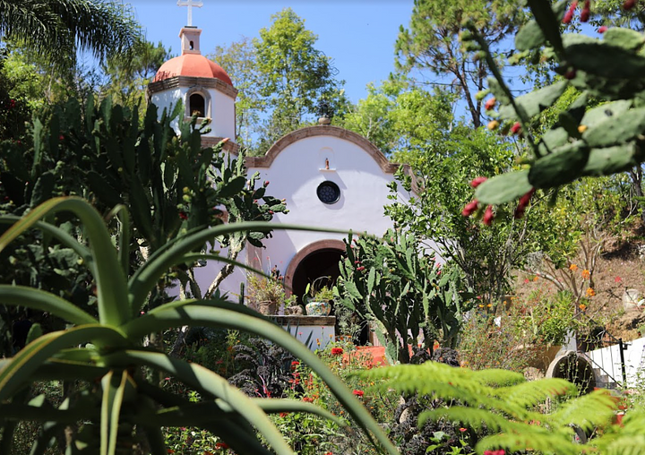 botanicalgardensallie1
