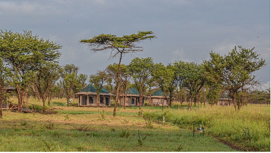 Narudi Tented Camp - Days 2 - 4