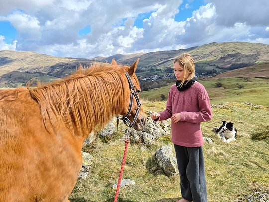 Packhorse Picnic and Wellness Day