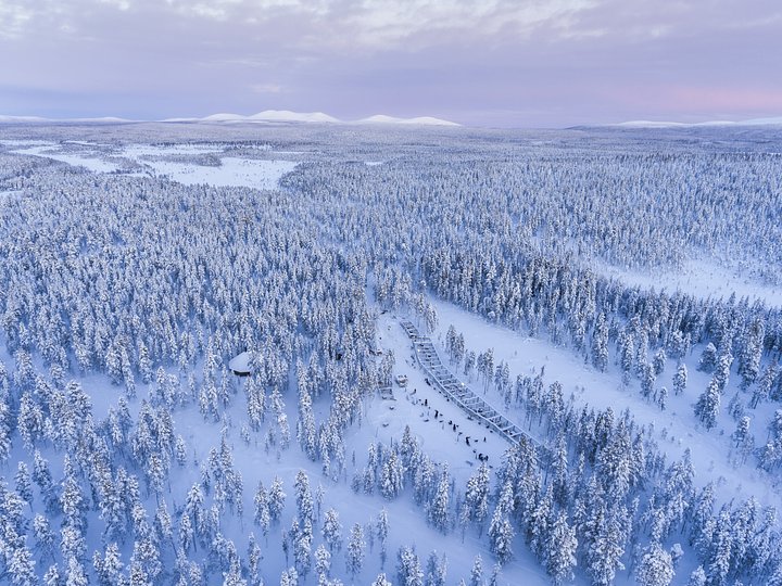 aerialphotoofasnowcoveredwinterforestfull20240922214943utc