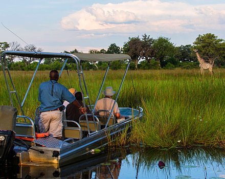 Boat Safari
