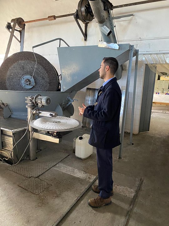 Visit an olive oil mill