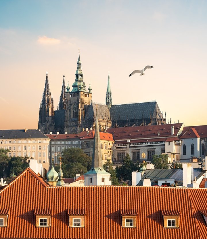 iStock1149275254