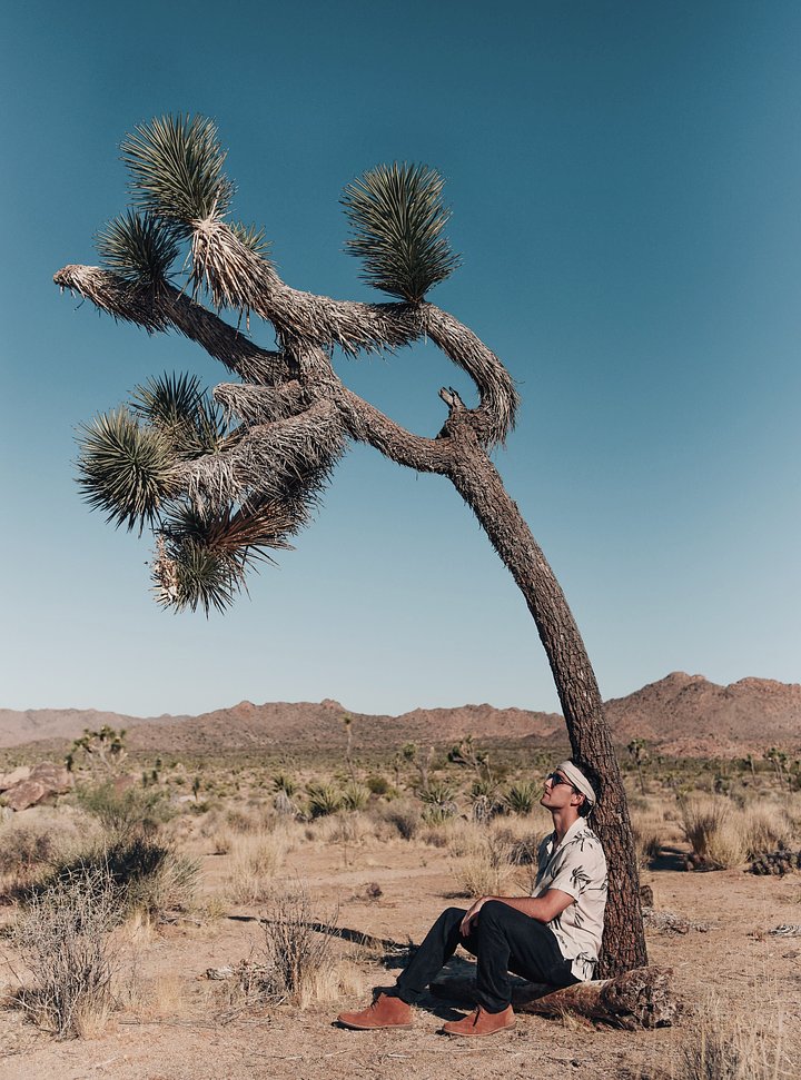 sambeasleyLR59IerRxq4unsplash