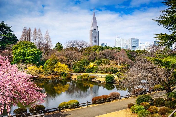 japan_tokyo_shinjuku_gyoen_park