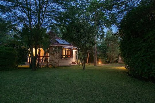 Hotel Day Use on November 11 in Kilimanjaro - Shared Room (Price is per person. Each guest must book individually.)