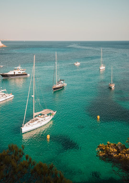 Mallorca sabor del mediterraneo