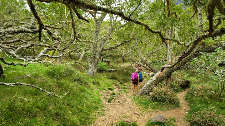 la_reunion_kookoo_climb_trek_8
