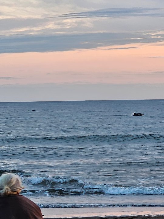 Solstice Sunrise Ceremony 