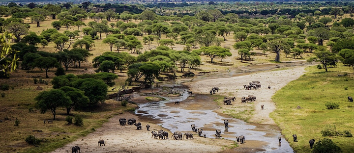 WorkRemotelyfromTanzania