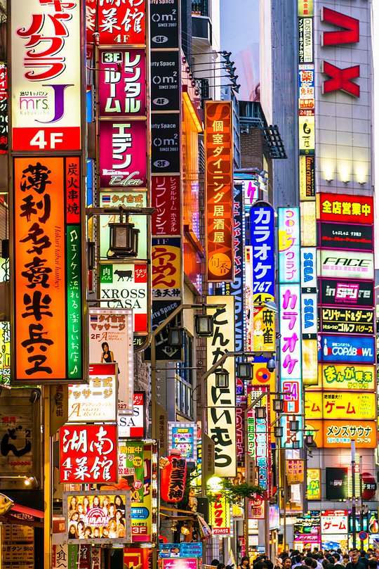 3 Day / 2 Night Pre-Trip Extension to Tokyo - Private Room (Minimum 4 ladies)