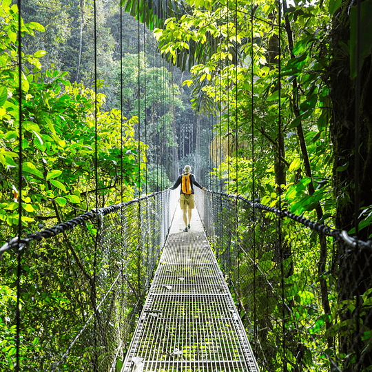 Travel insurance