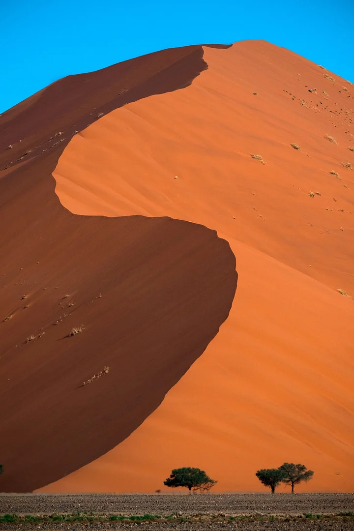 iStock2221746185