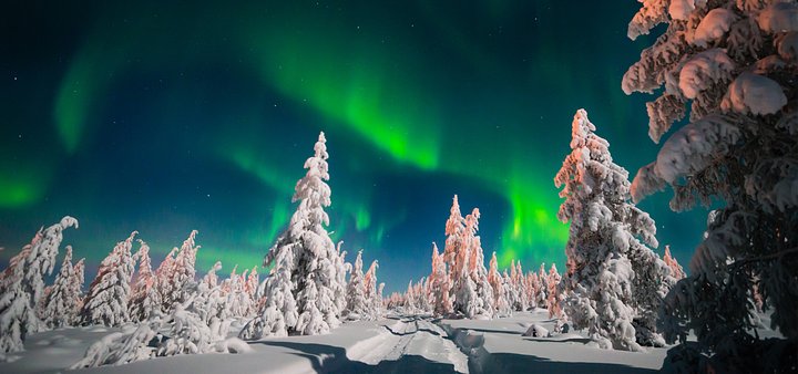 The Lapland Experience