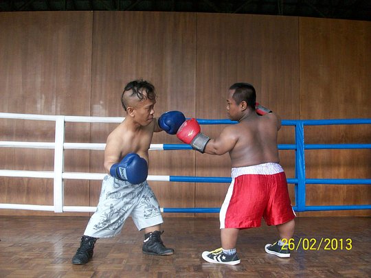 Boxing Midgets