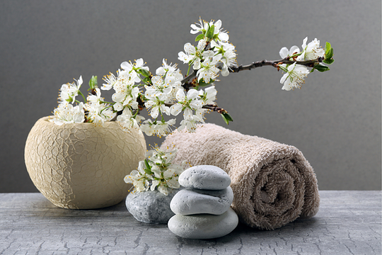 Luxe Spa Treatments 