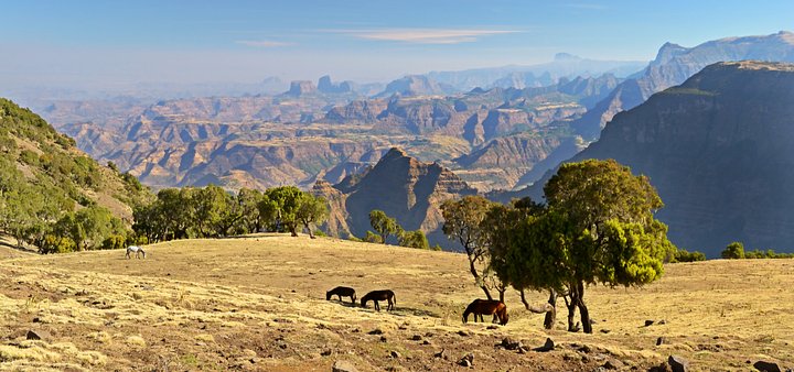 The Northern Ethiopia Experience