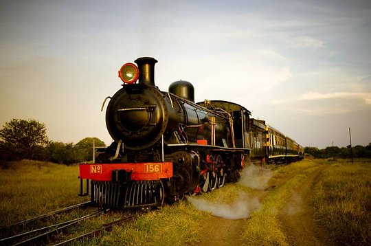 Enjoy a gourmet meal aboard the Royal Livingston Express 