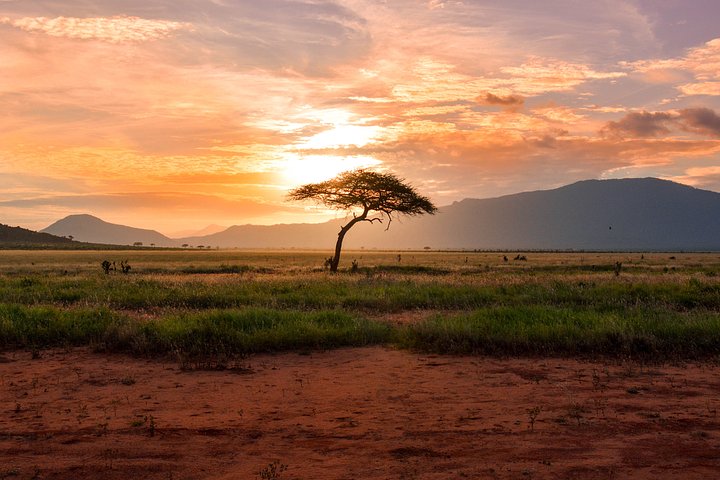 unsplashsafarisunset