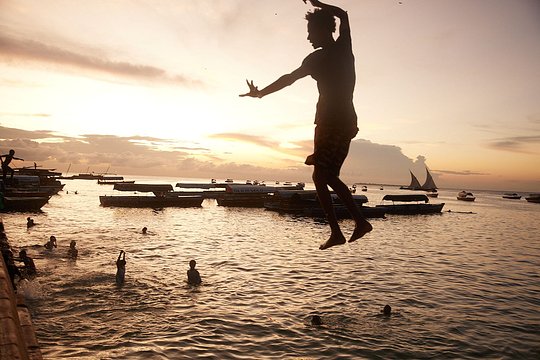 From Remote Wilderness to Zanzibar Shores