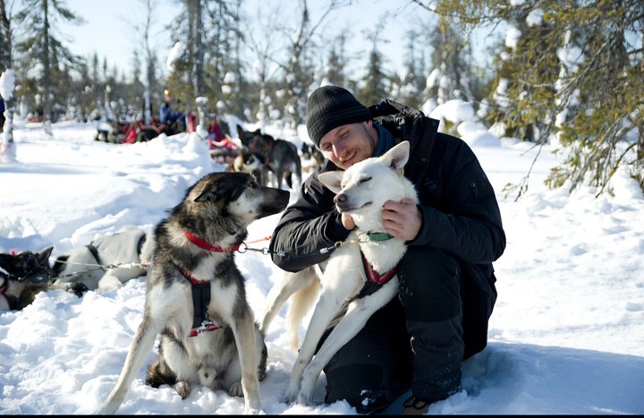huskies6