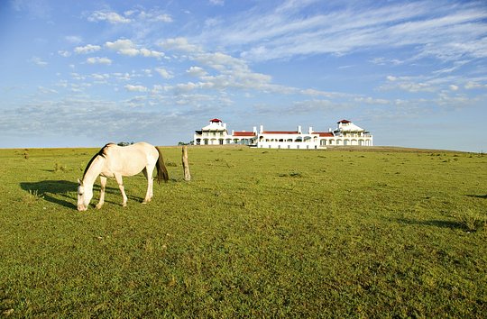 Uruguay: Where Art, Wine, and Nature Converge