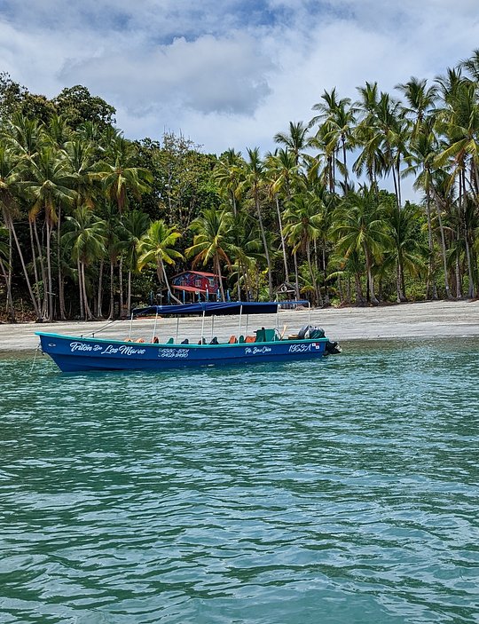 Island Exploration