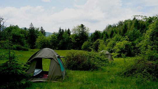Tented Camp in the wild