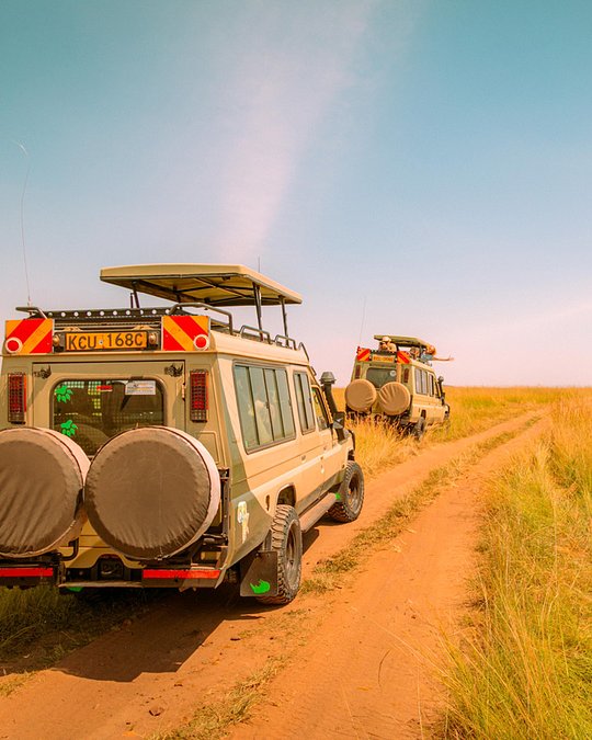 Full Day Game Drive