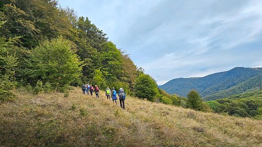 Wilderness Trail, July 2026