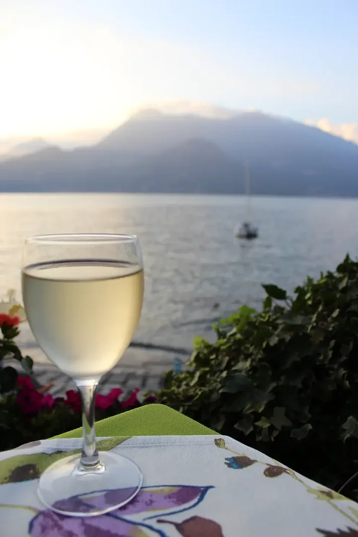 wineonlakecomo