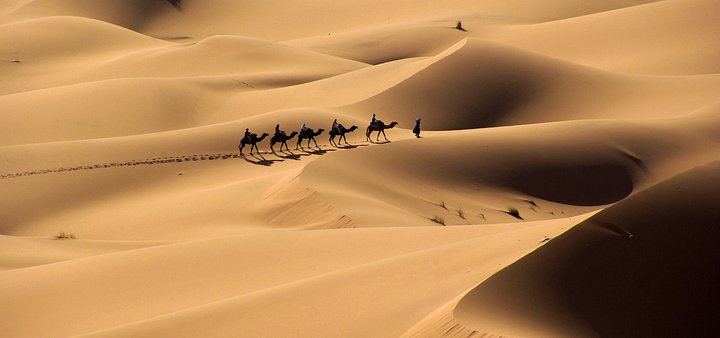 The Sahara Desert Experience