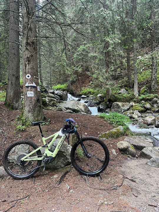 Electric bikes