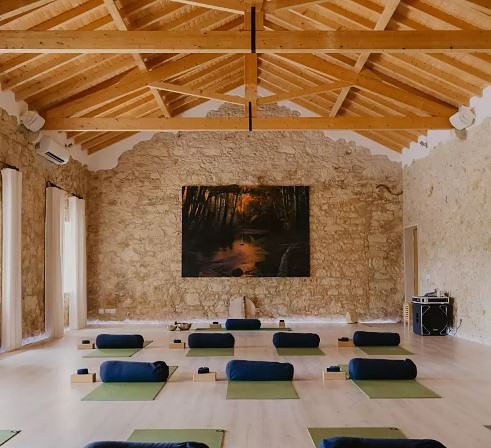 Daily Yoga Classes