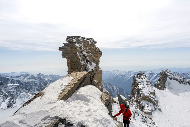granparadisokookoo11