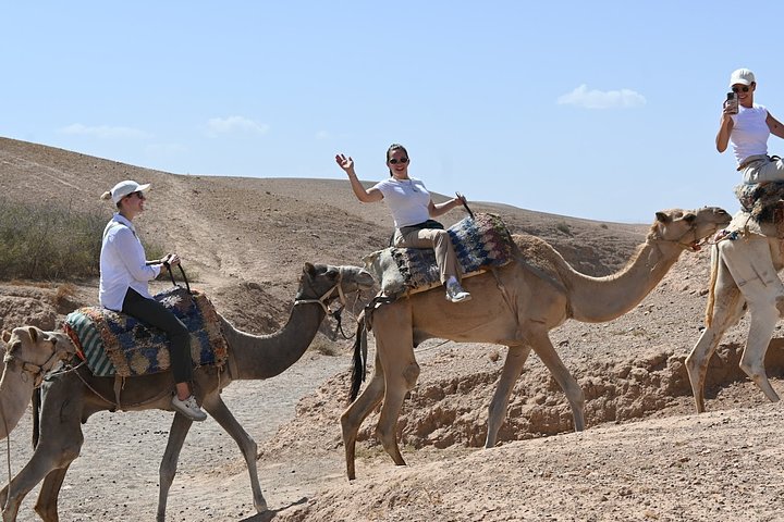 CamelRide2024