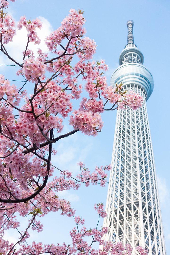 iStock1133606538