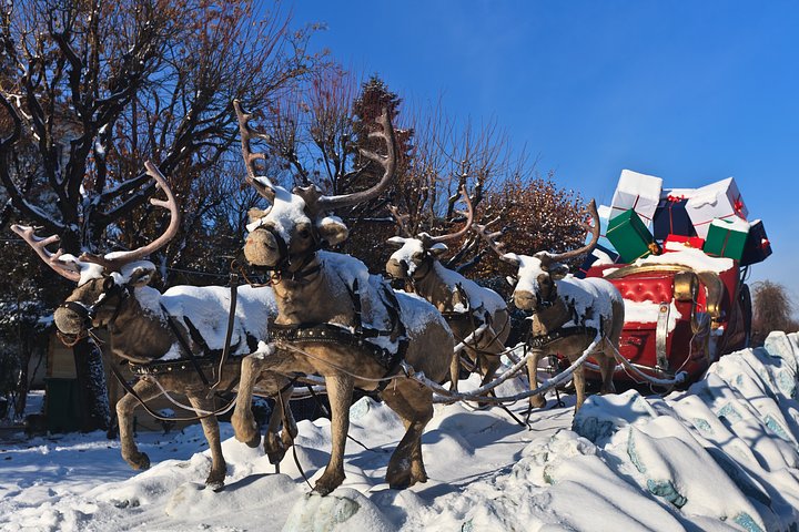 carriagewithreindeer20240912080220utc