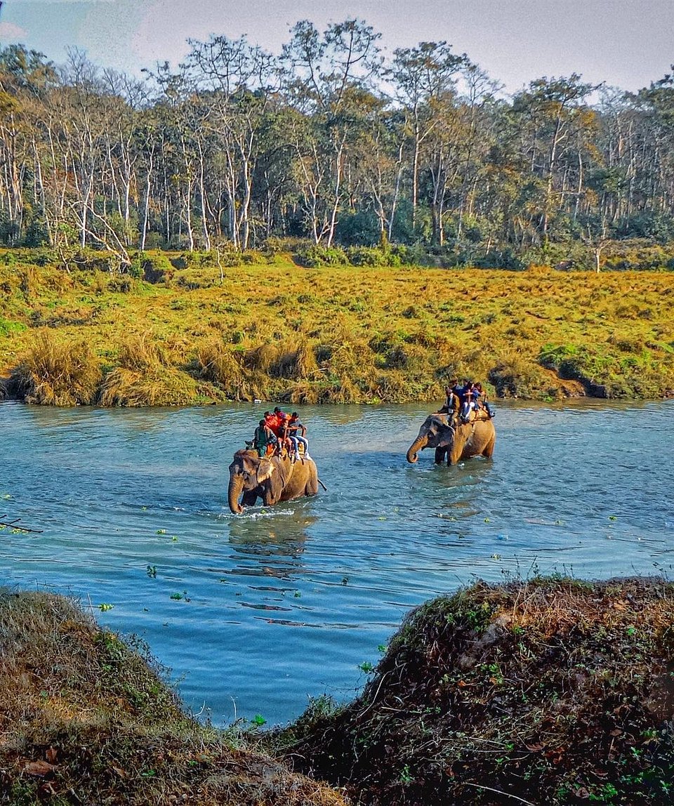 elephantridingnepal