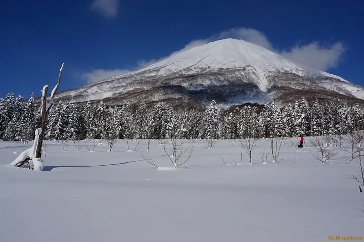 Japon Powder Land
