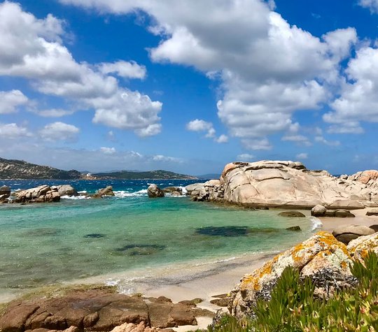 Visit to Maddalena 