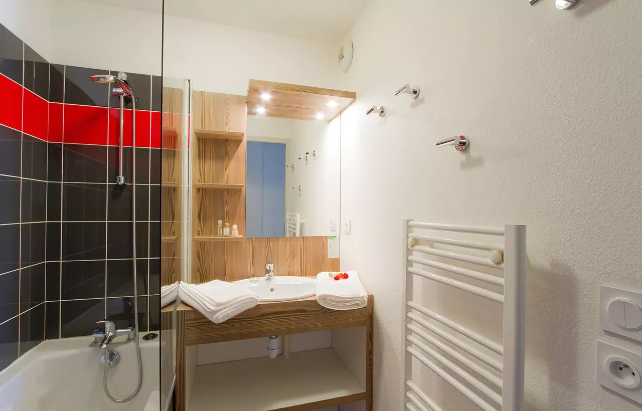 tmp6985_locationskilesdeuxalpesresidenceodalysloursblanc7.jpg