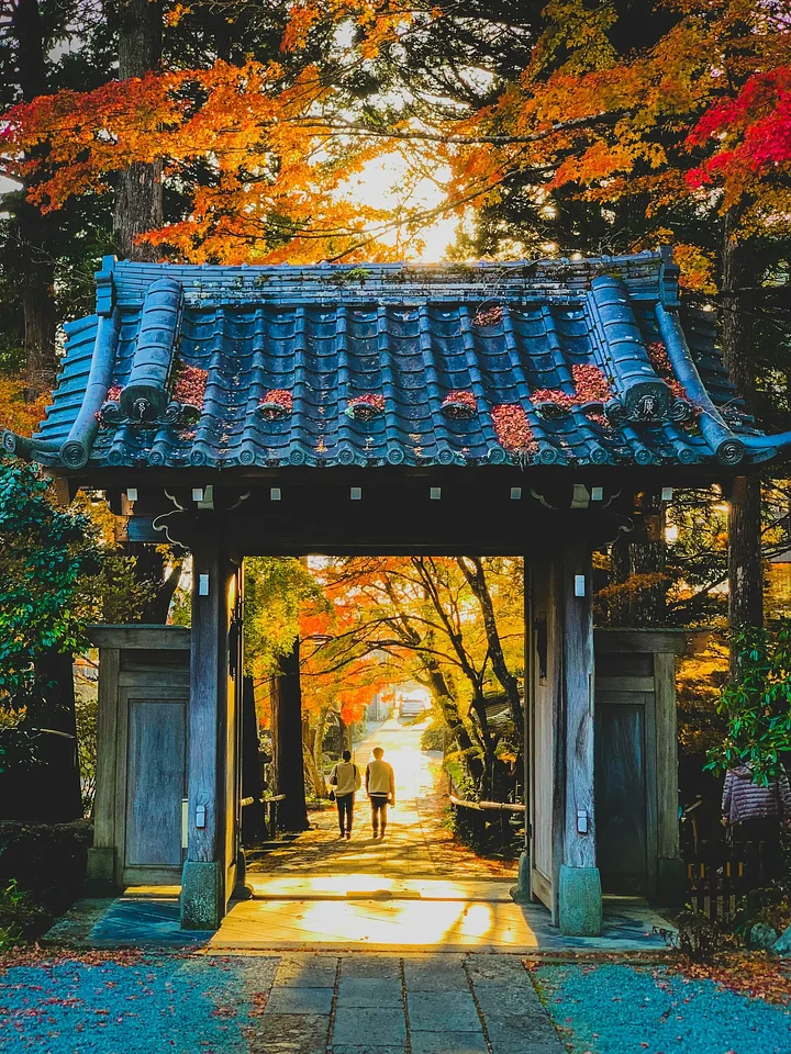 ashiranimuratarQgqf6ynkP8unsplash