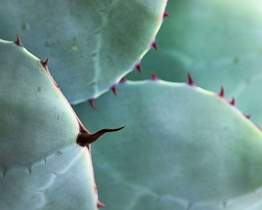 Self-Compassion & Sustainable Practice