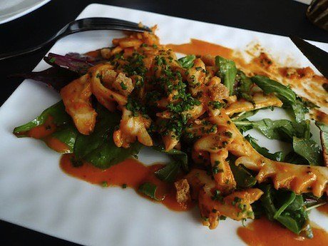 squidsalad11