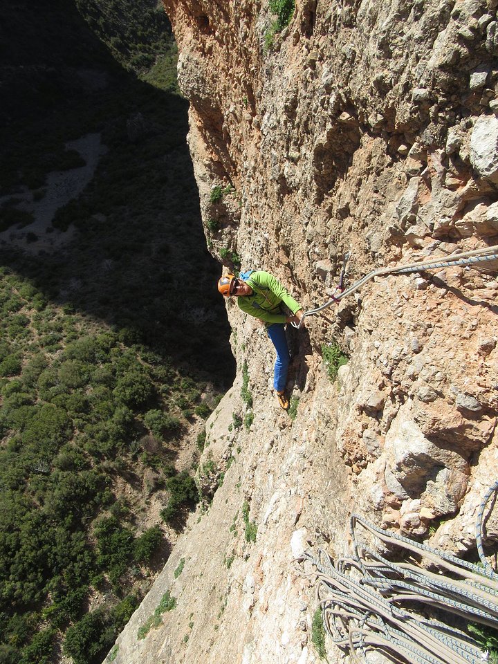 kookooclimbriglos2